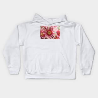 Sempervivum  'Bernstein'  Houseleek Kids Hoodie